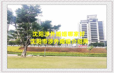 沈阳涉外婚姻哪家好 沈阳市涉外婚姻介绍所